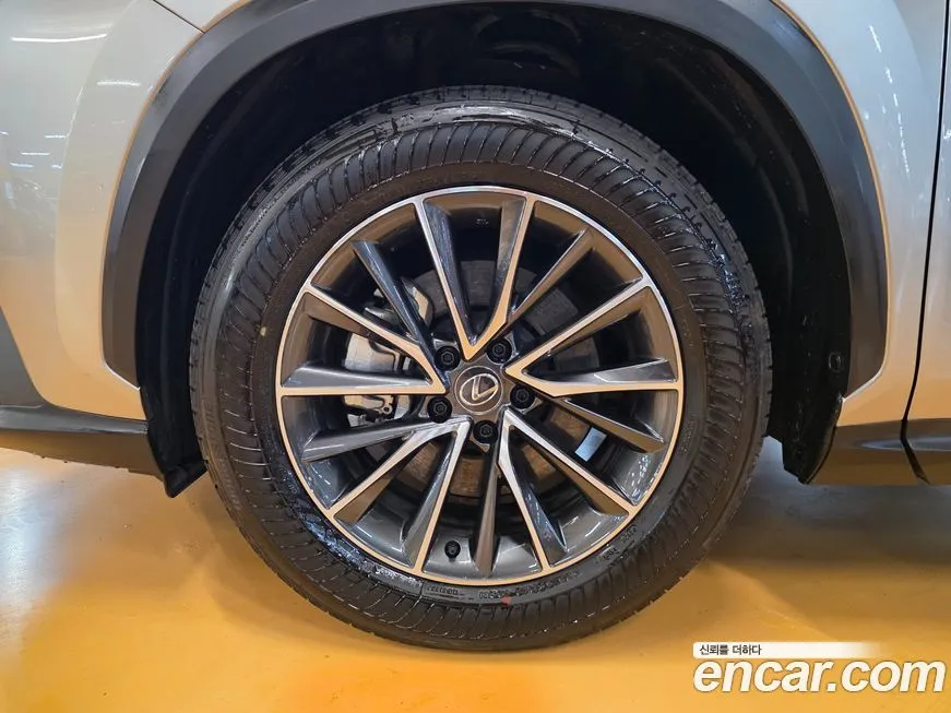 Lexus NX 2025 из KR, фото 4
