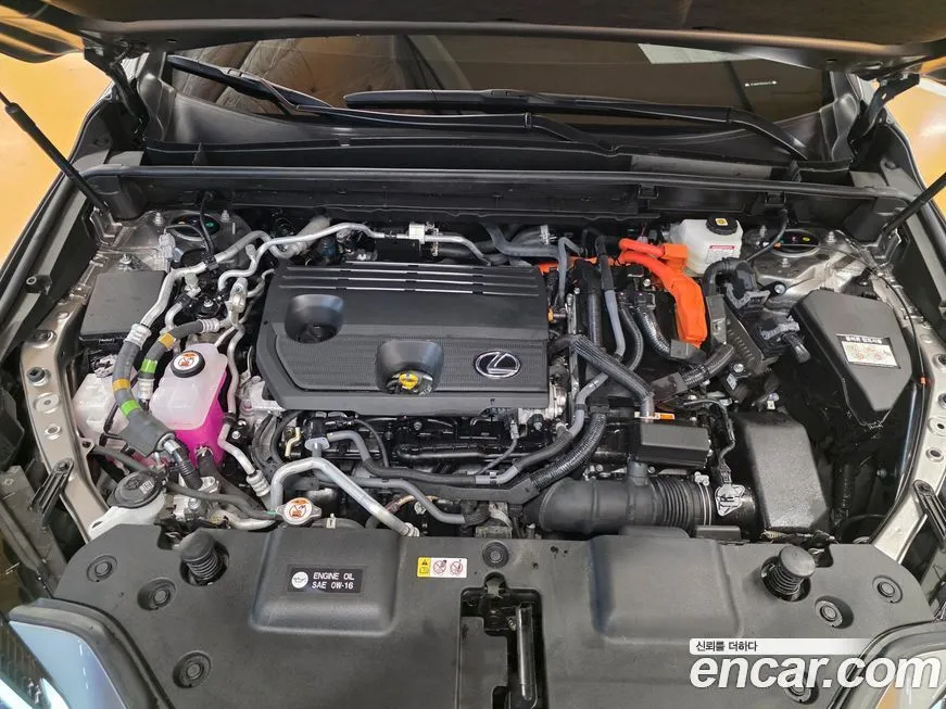 Lexus NX 2025 из KR, фото 5