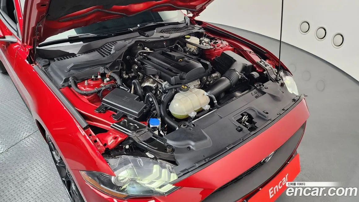 Ford Mustang 2022 из KR, фото 8