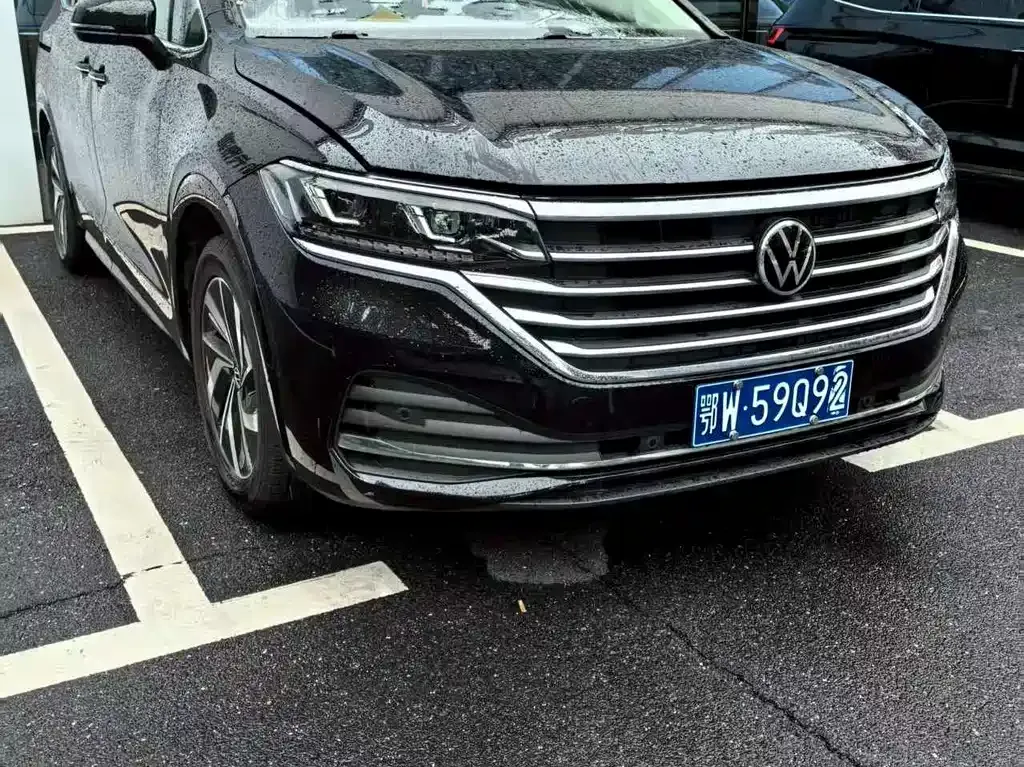 Volkswagen Viloran 2023 из CN, фото 9