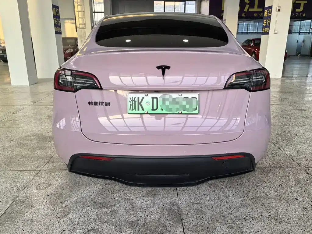 Tesla Model Y 2024 из CN, фото 6
