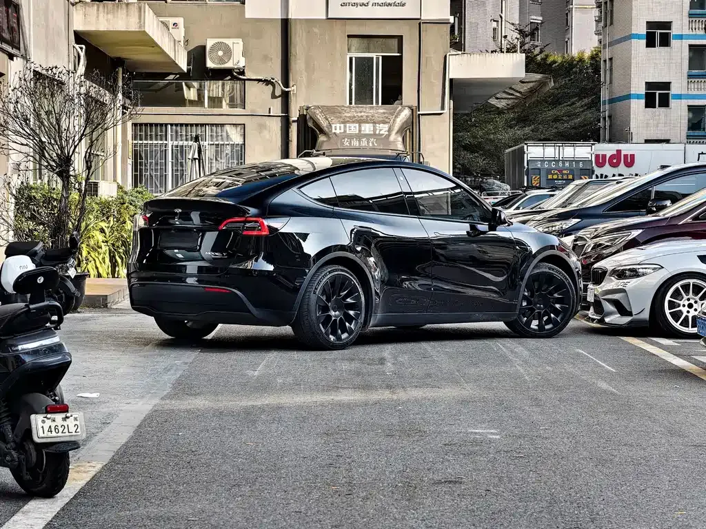 Tesla Model Y — фото 10