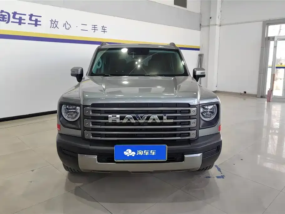 Haval Menglong New Energy 2024 из CN, фото 3