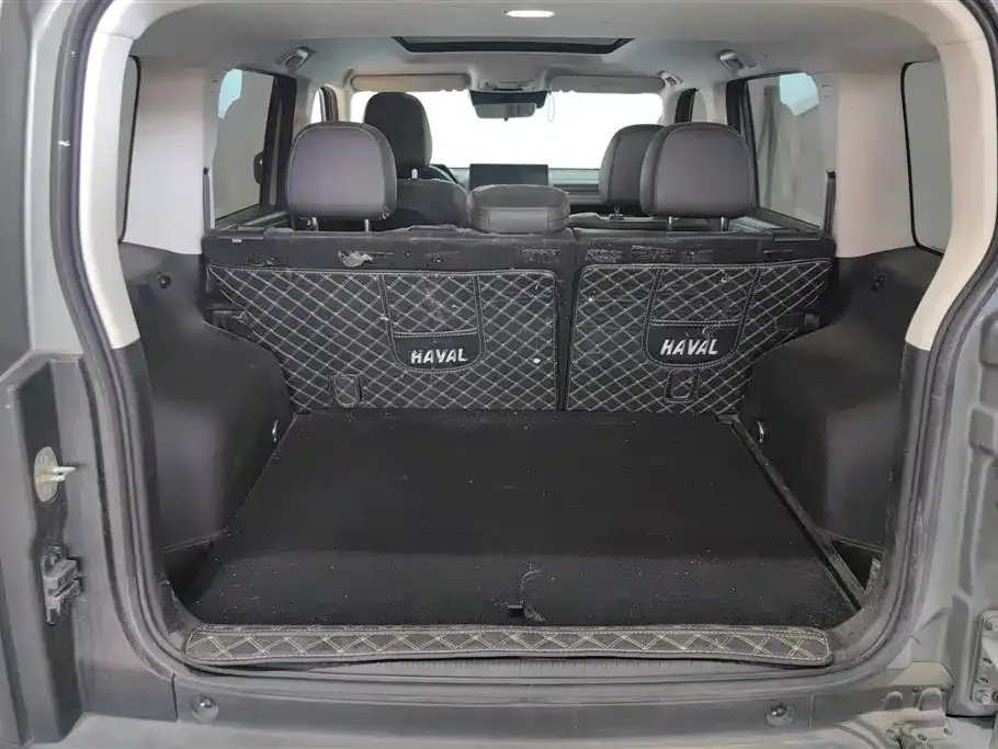 Haval Menglong New Energy 2024 из CN, фото 10