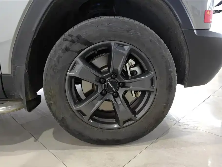 Haval Menglong New Energy 2024 из CN, фото 5
