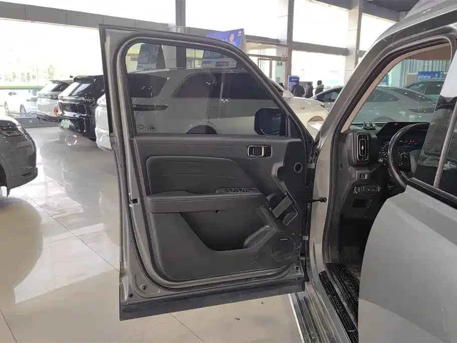 Haval Menglong New Energy 2024 из CN, фото 8
