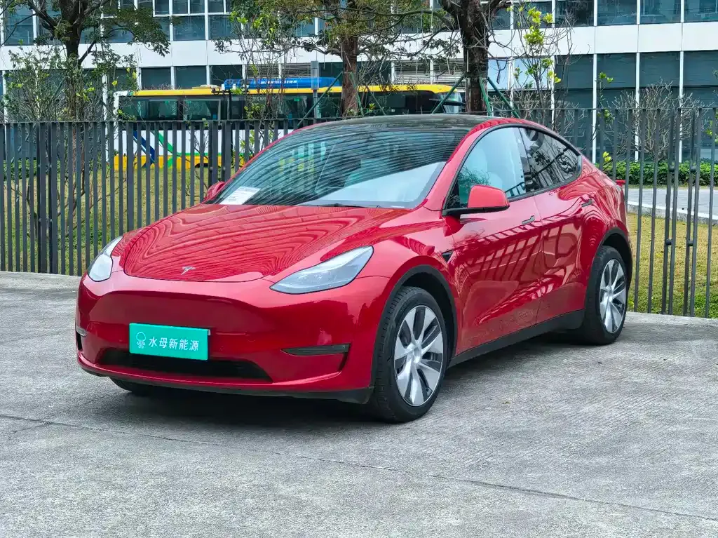 Tesla Model Y 2021 из CN, фото 1
