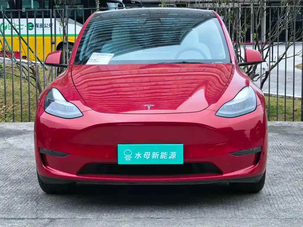 Tesla Model Y 2021 из CN, фото 6