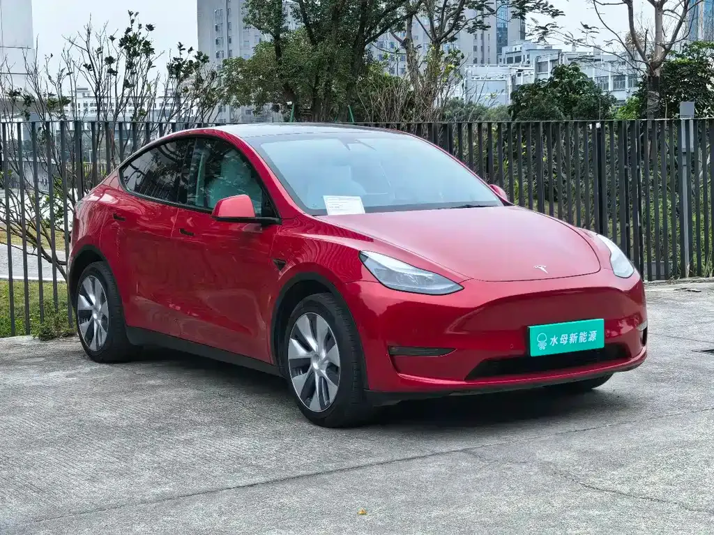 Tesla Model Y 2021 из CN, фото 8