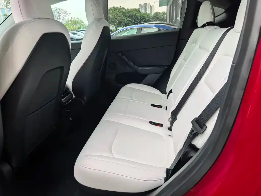 Tesla Model Y 2021 из CN, фото 4