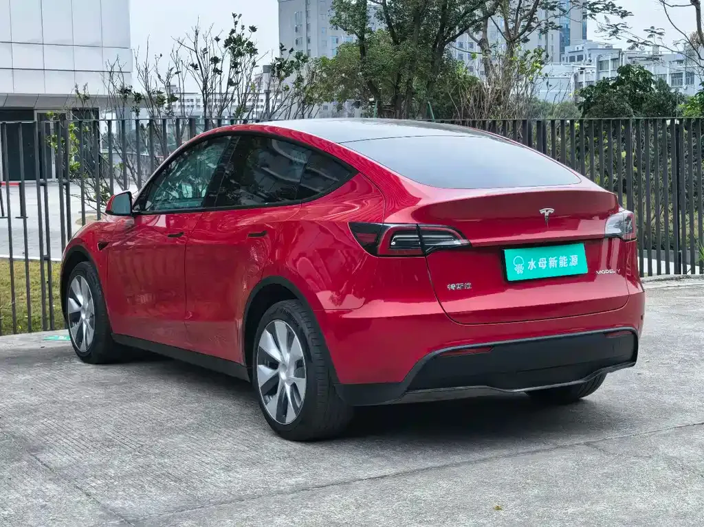Tesla Model Y 2021 из CN, фото 7