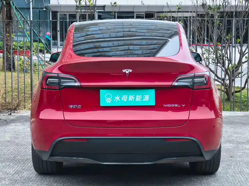 Tesla Model Y 2021 из CN, фото 5