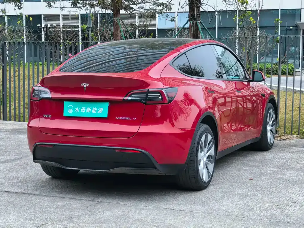 Tesla Model Y 2021 из CN, фото 9