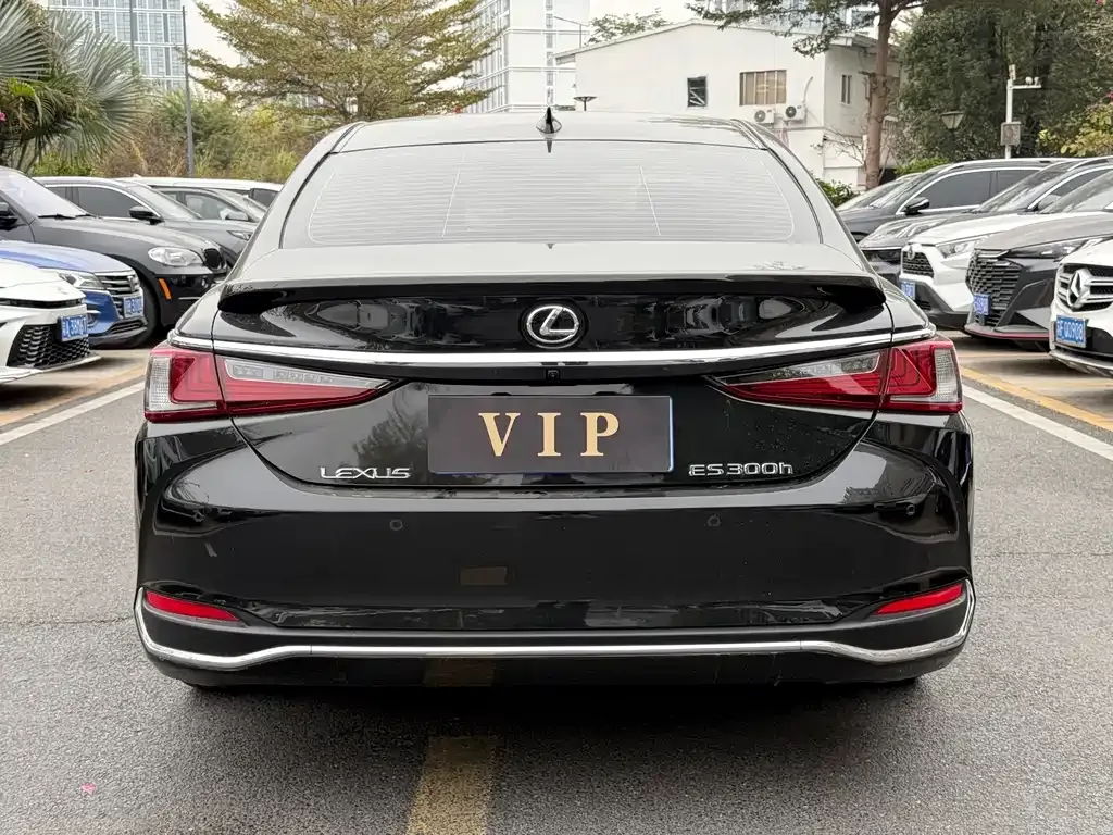 Lexus ES 2023 из CN, фото 5