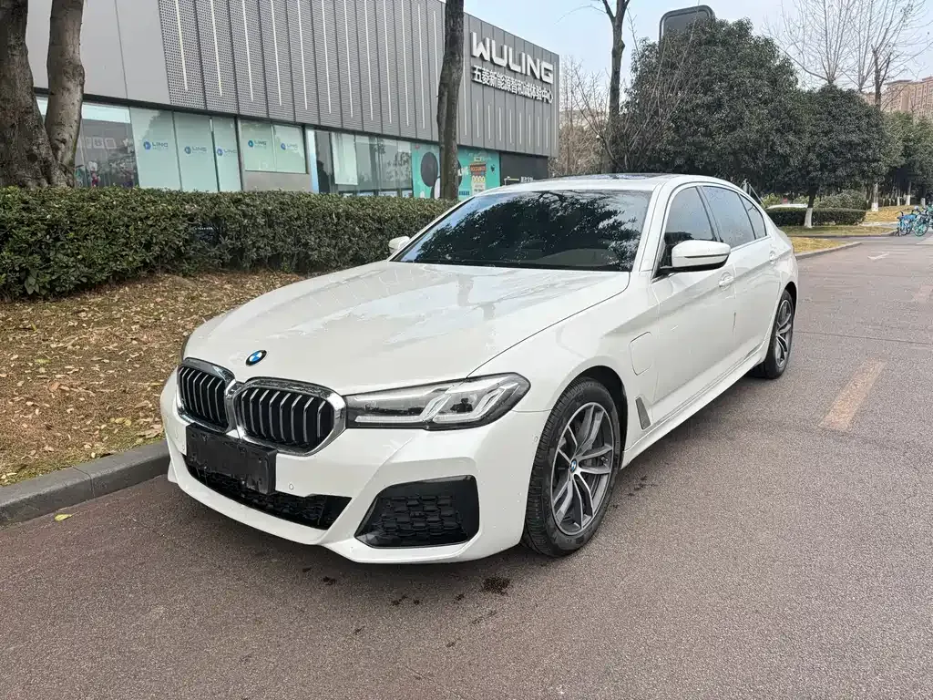 BMW 5 Series New Energy 2021 из CN, фото 1