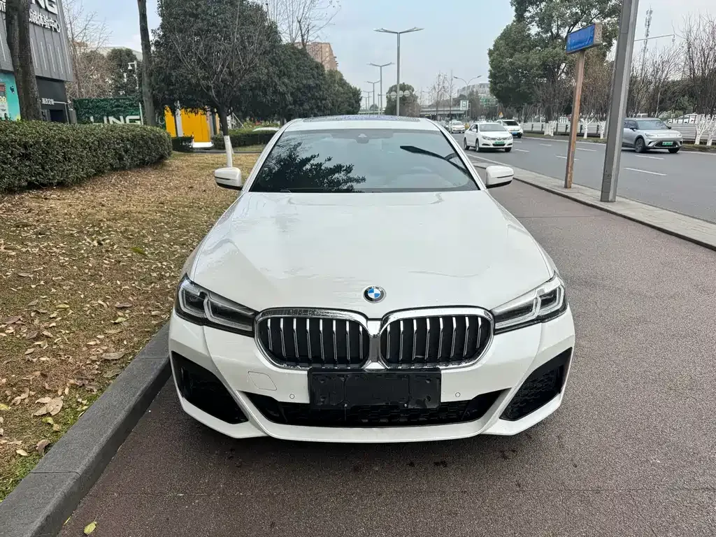 BMW 5 Series New Energy 2021 из CN, фото 9