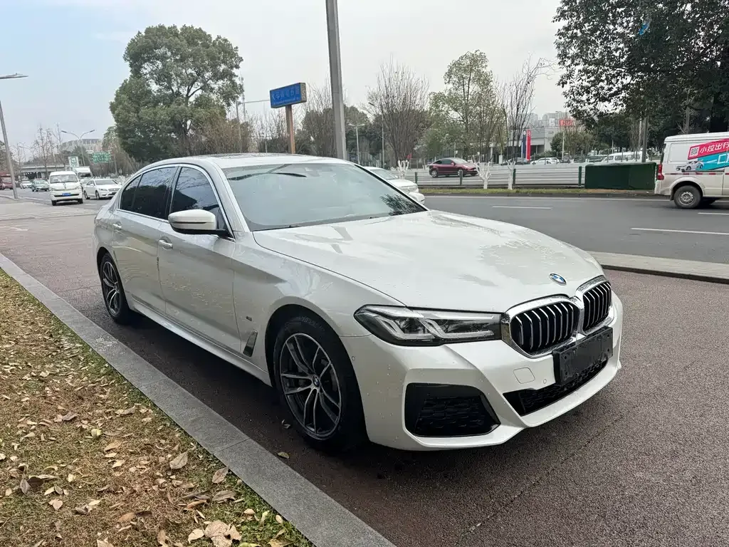 BMW 5 Series New Energy 2021 из CN, фото 5