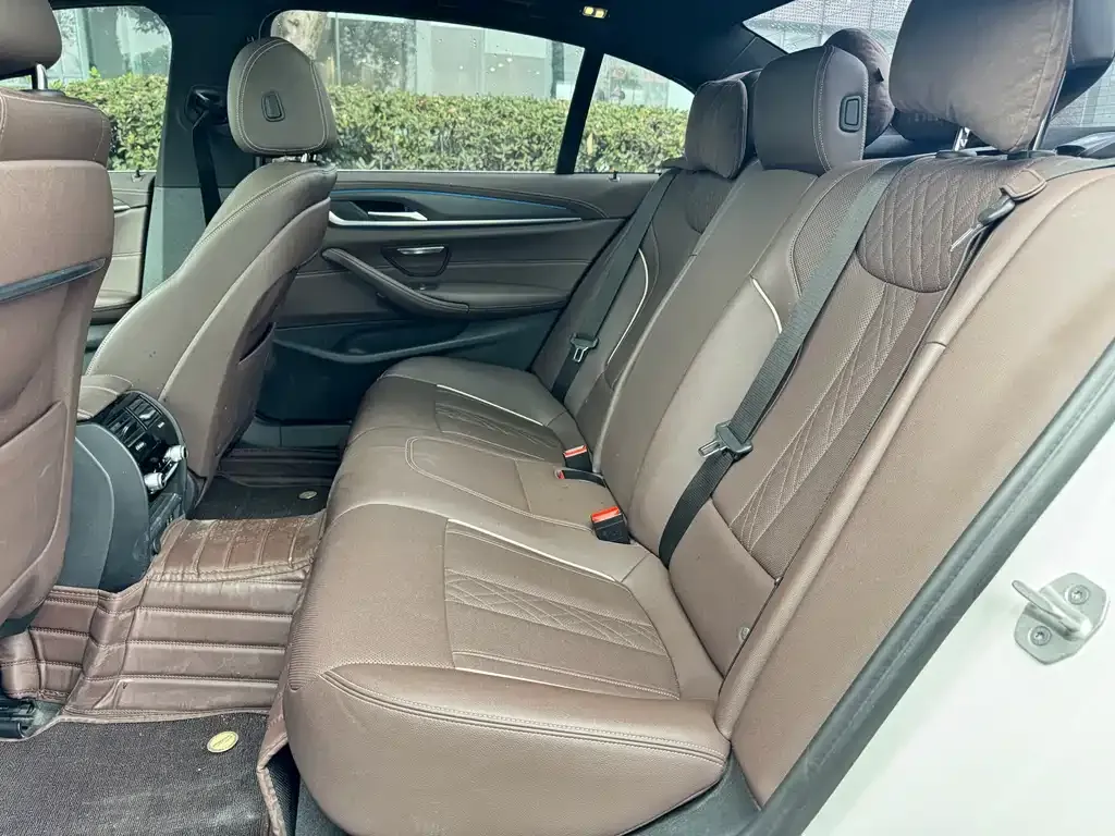 BMW 5 Series New Energy 2021 из CN, фото 2