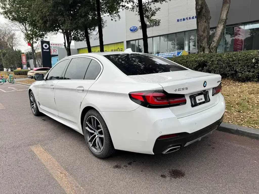 BMW 5 Series New Energy 2021 из CN, фото 8