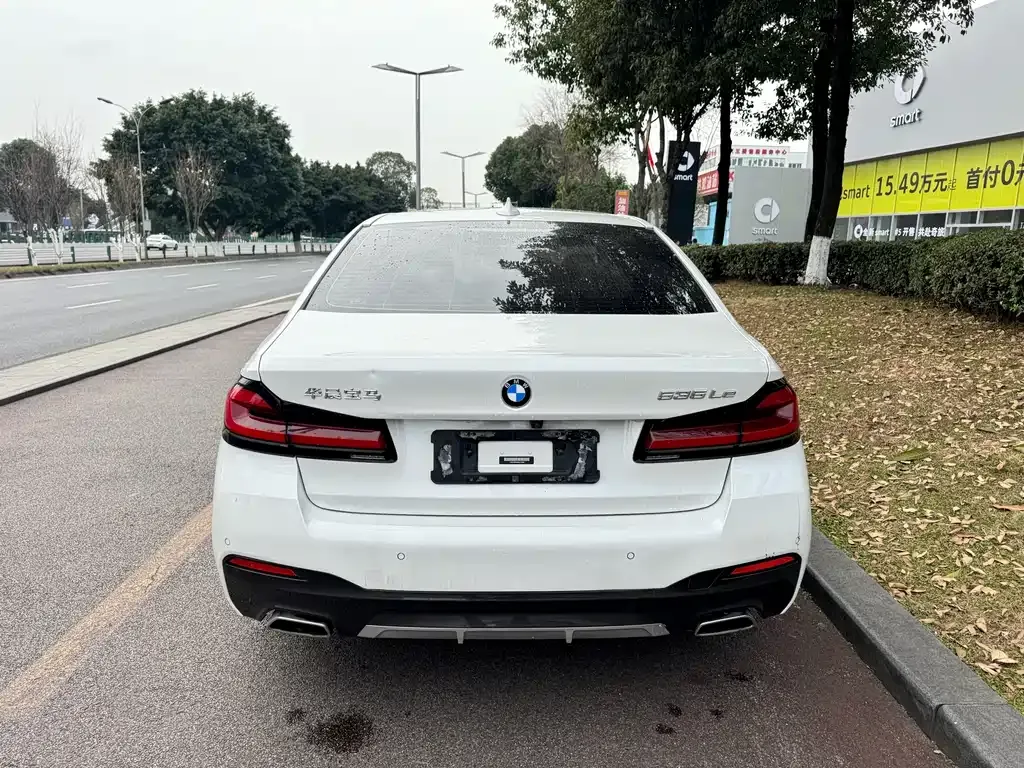 BMW 5 Series New Energy 2021 из CN, фото 6