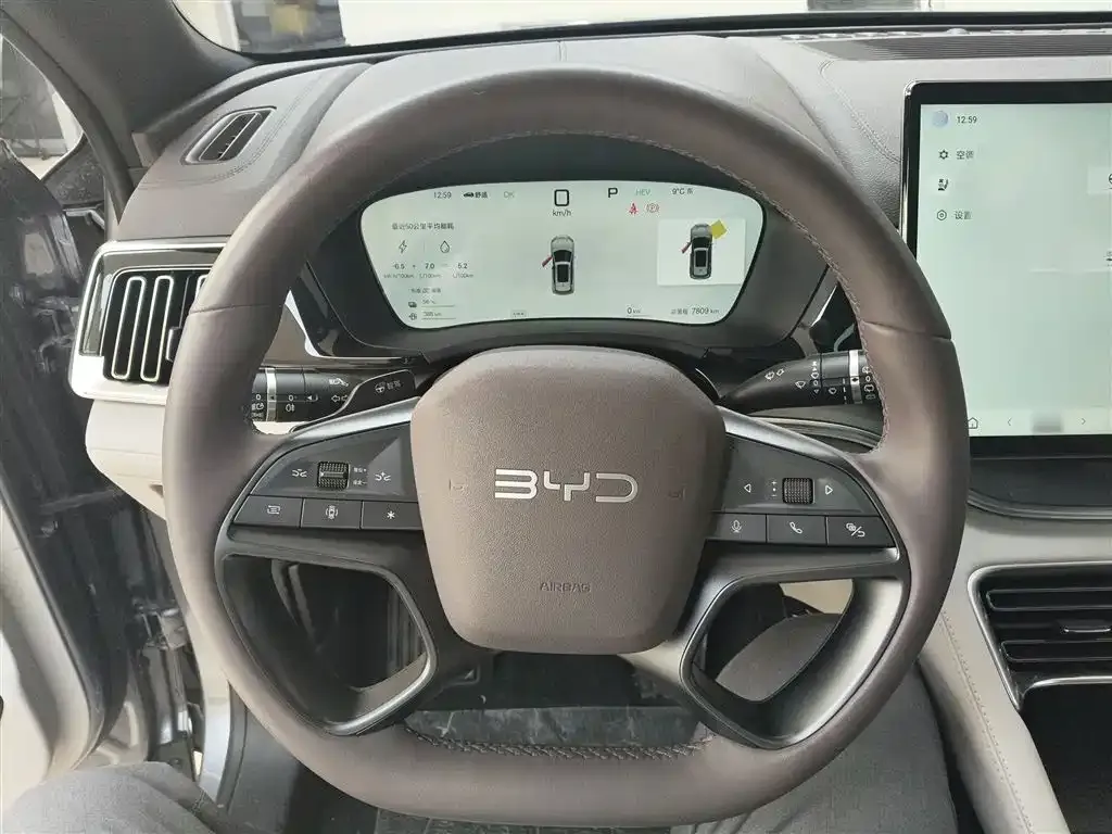 BYD PLUS New Energy 2025 из CN, фото 2