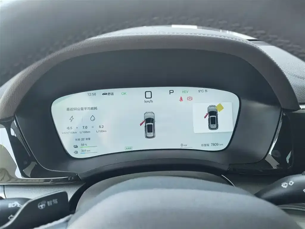 BYD PLUS New Energy 2025 из CN, фото 3