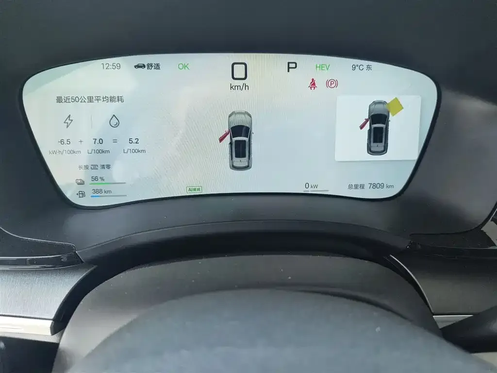 BYD PLUS New Energy 2025 из CN, фото 6