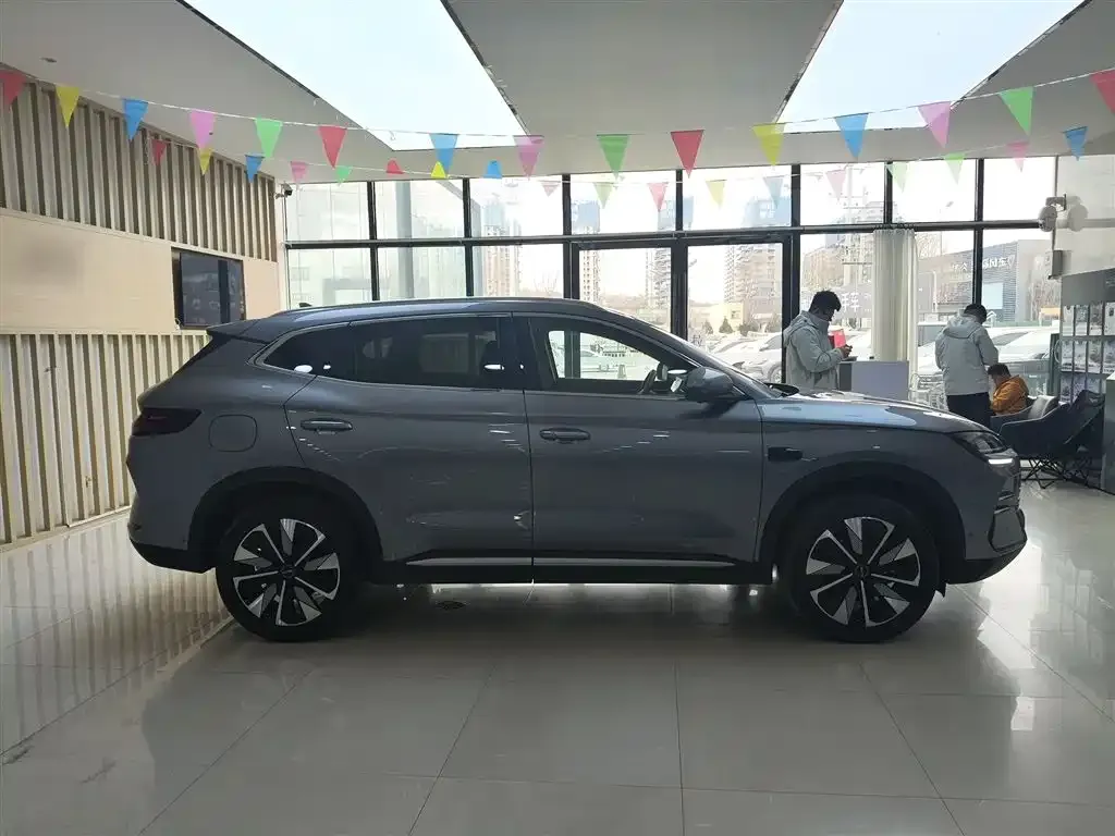 BYD PLUS New Energy 2025 из CN, фото 10