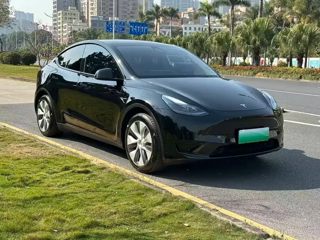 Tesla Model Y 2023 из CN, фото 8