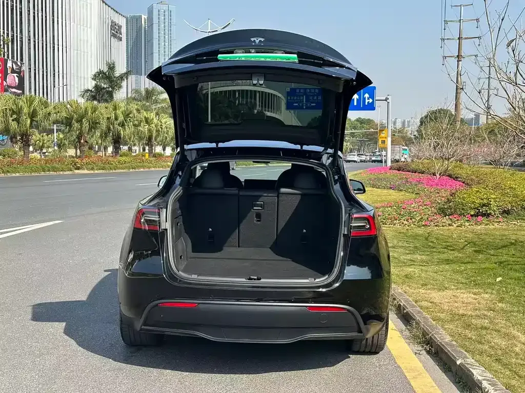 Tesla Model Y 2023 из CN, фото 6