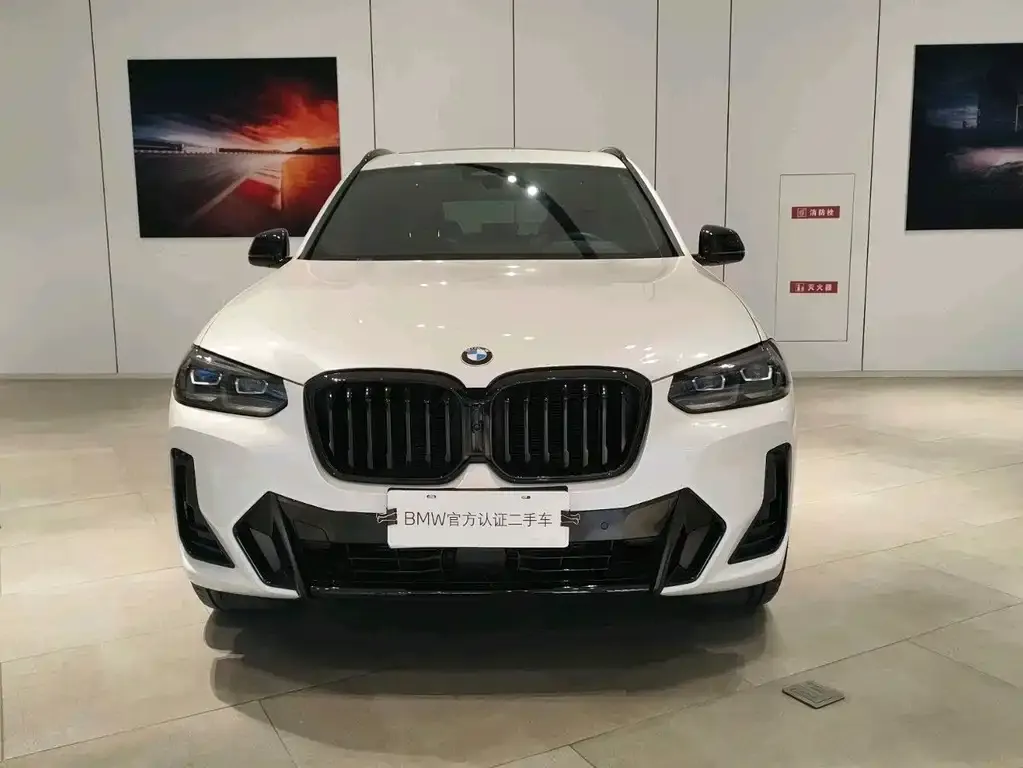 BMW X3 2024 из CN, фото 2