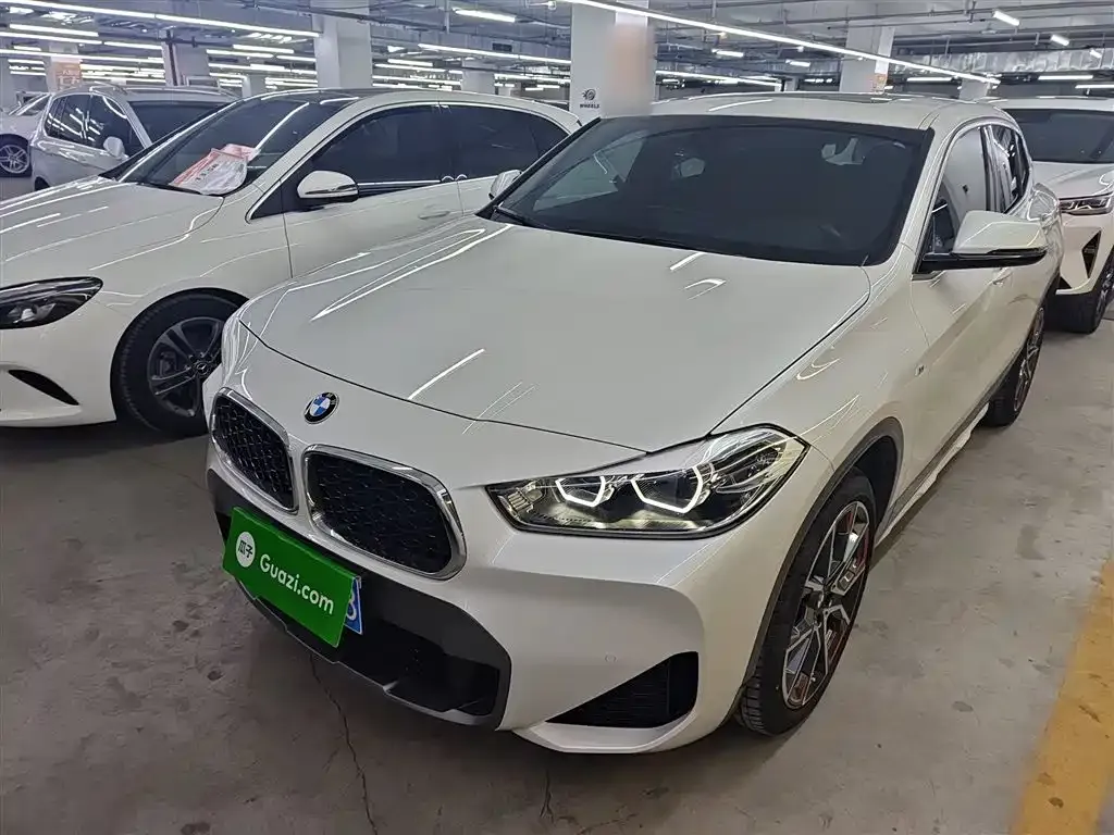 BMW X2 2021 из CN, фото 9