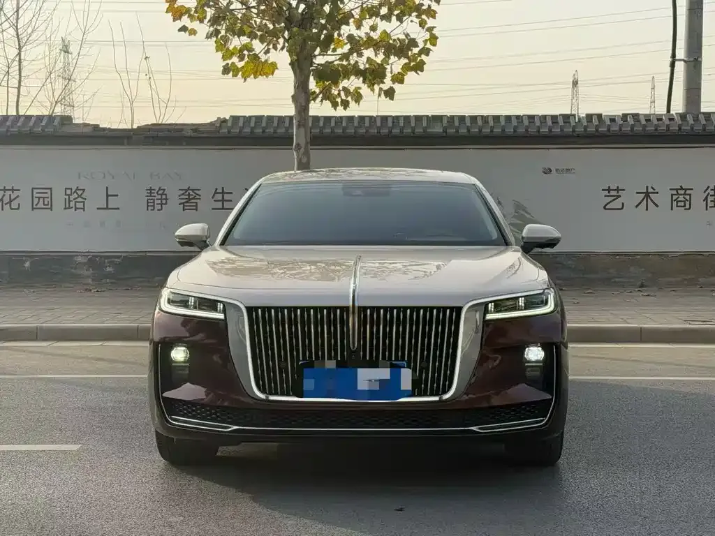 Hongqi H9 2022 из CN, фото 6