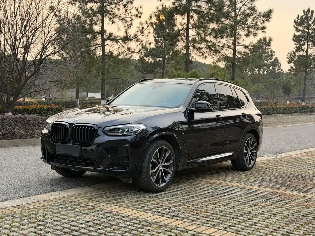BMW X3 2022 из CN, фото 1