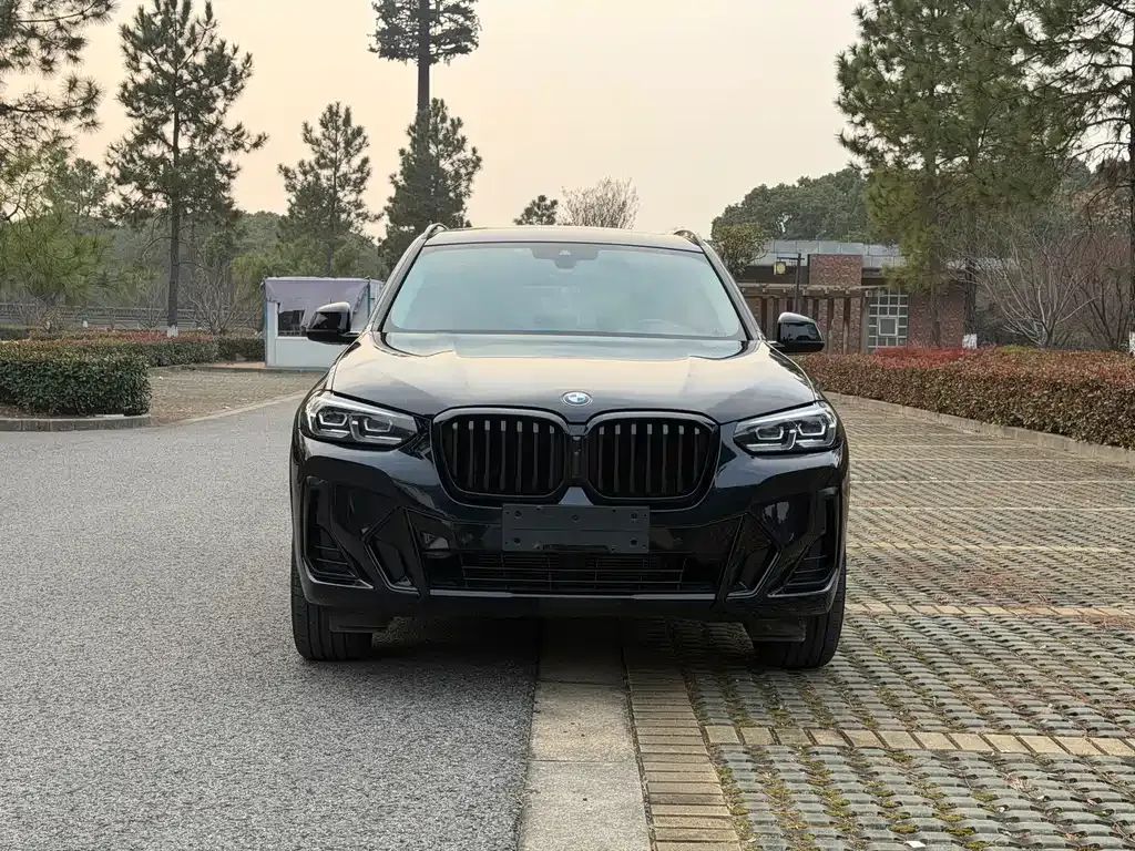 BMW X3 2022 из CN, фото 7