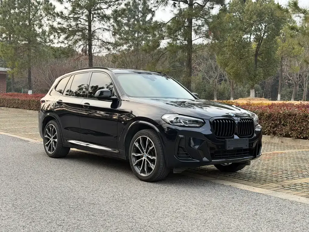 BMW X3 2022 из CN, фото 10