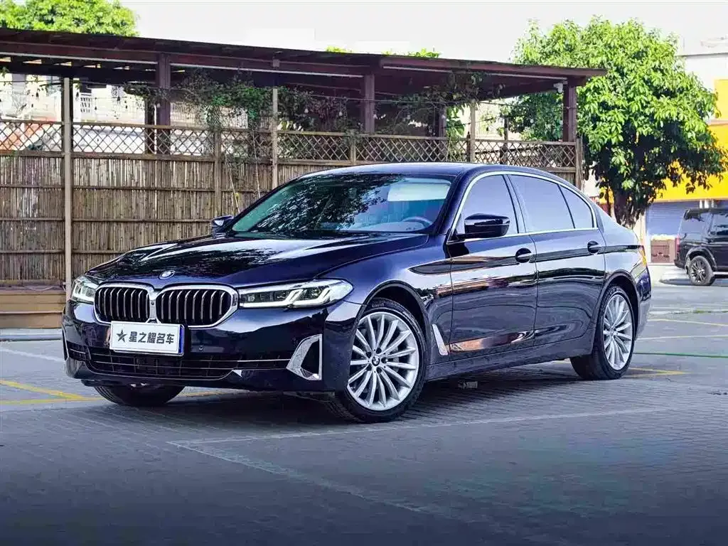 BMW 5 Series 2022 из CN, фото 1