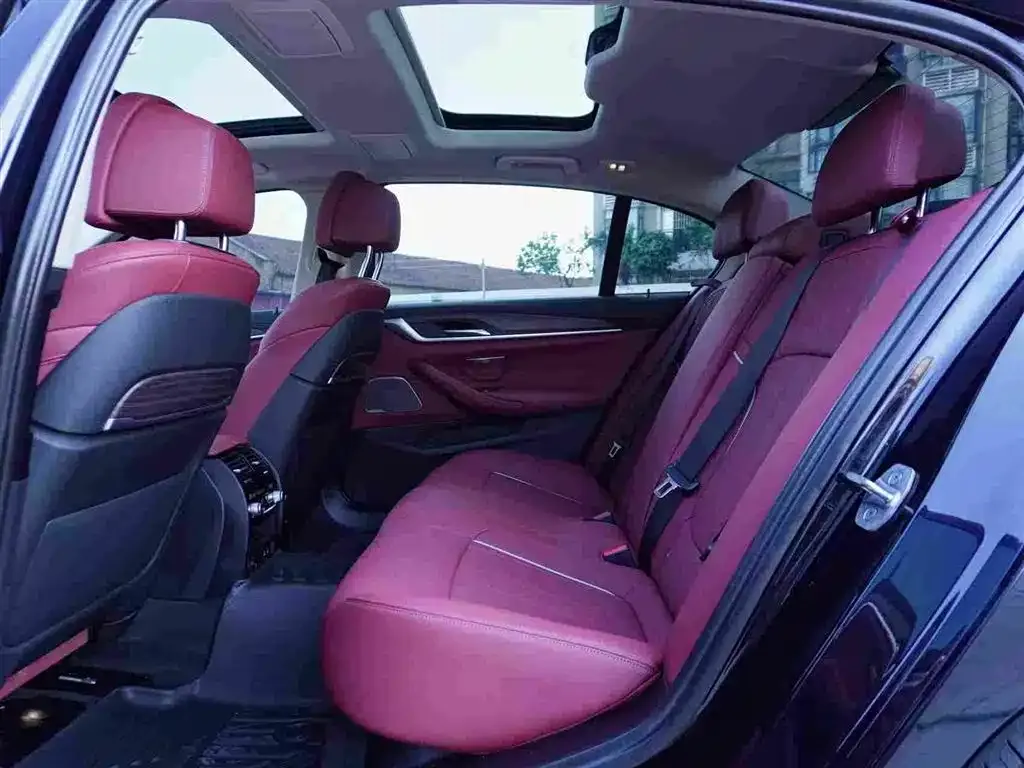 BMW 5 Series 2022 из CN, фото 4