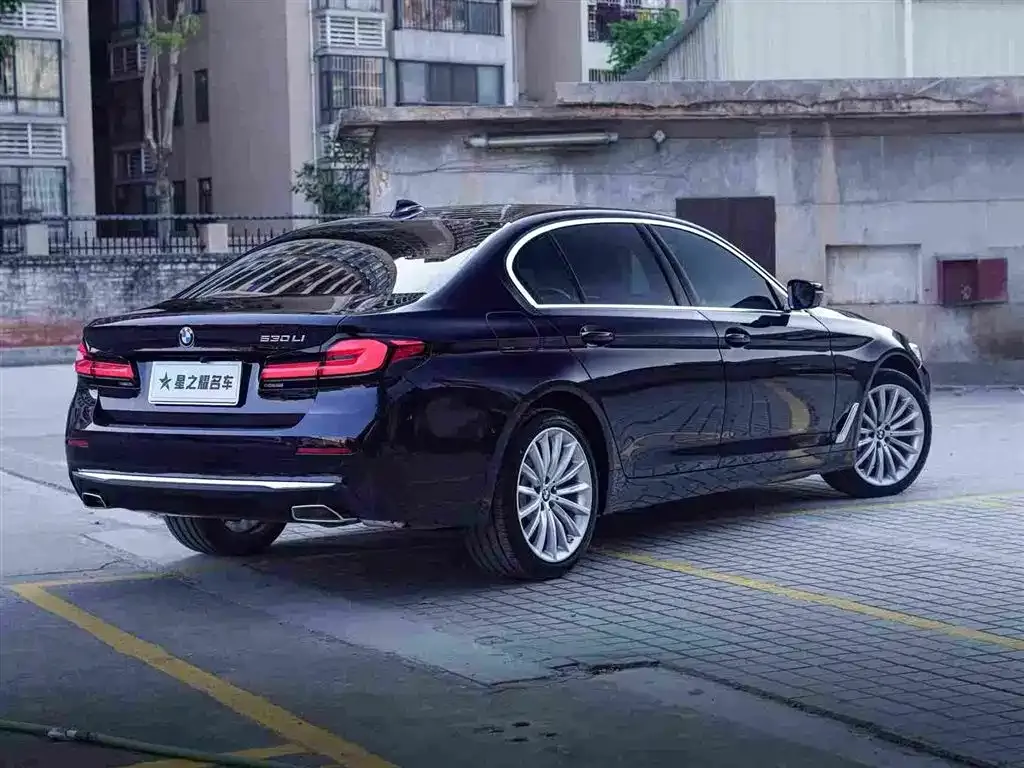 BMW 5 Series 2022 из CN, фото 9