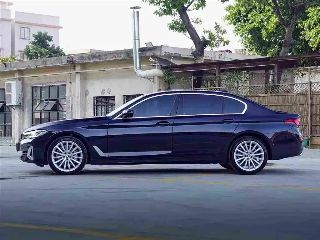 BMW 5 Series 2022 из CN, фото 7