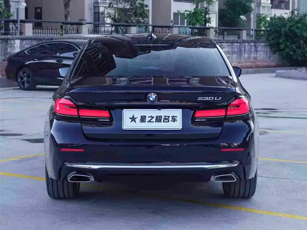 BMW 5 Series 2022 из CN, фото 5