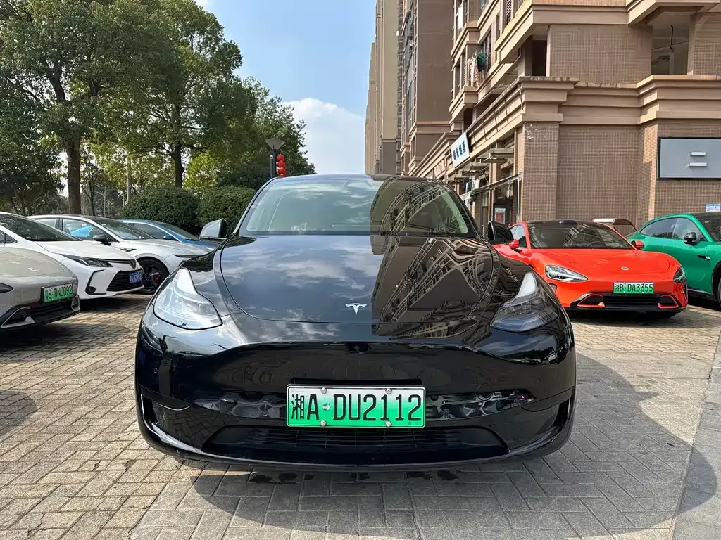 Tesla Model Y 2022 из CN, фото 8