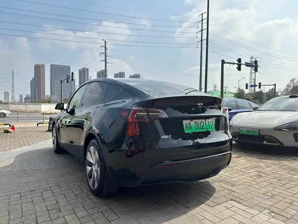Tesla Model Y 2022 из CN, фото 9