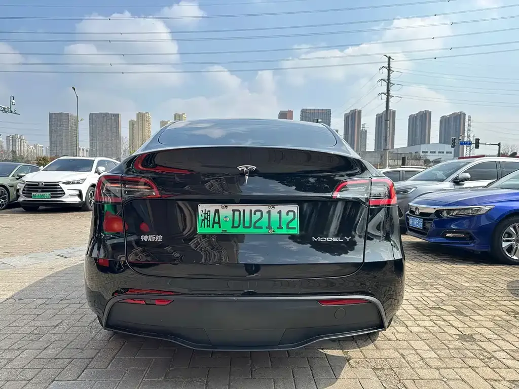 Tesla Model Y 2022 из CN, фото 5