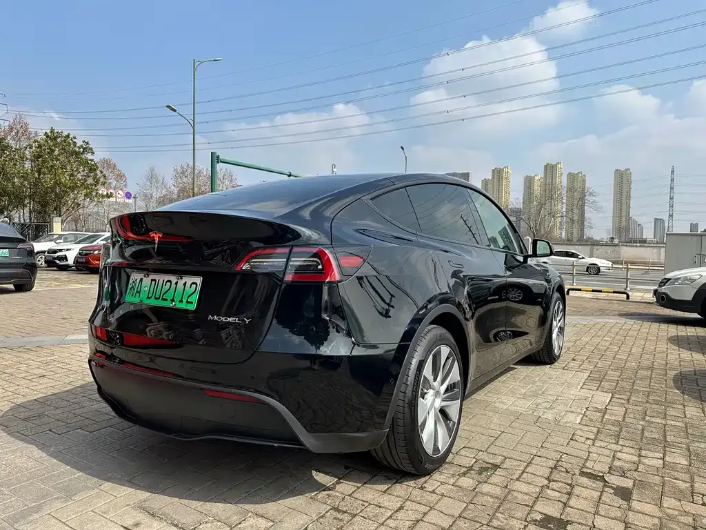 Tesla Model Y 2022 из CN, фото 7