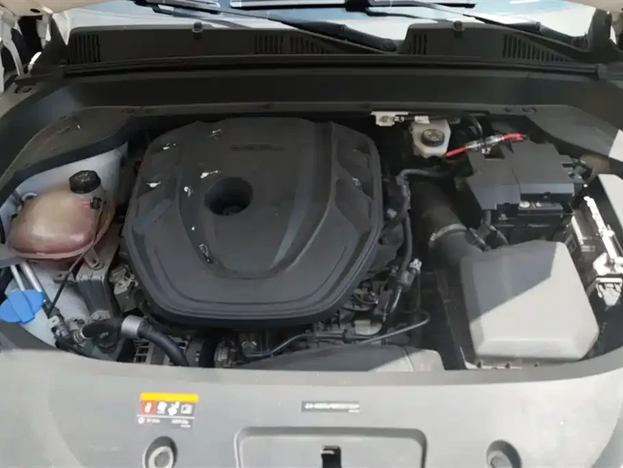Geely Xingyue L 2021 из CN, фото 6