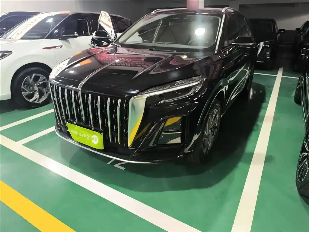 Hongqi HS3 PHEV 2025 из CN, фото 9