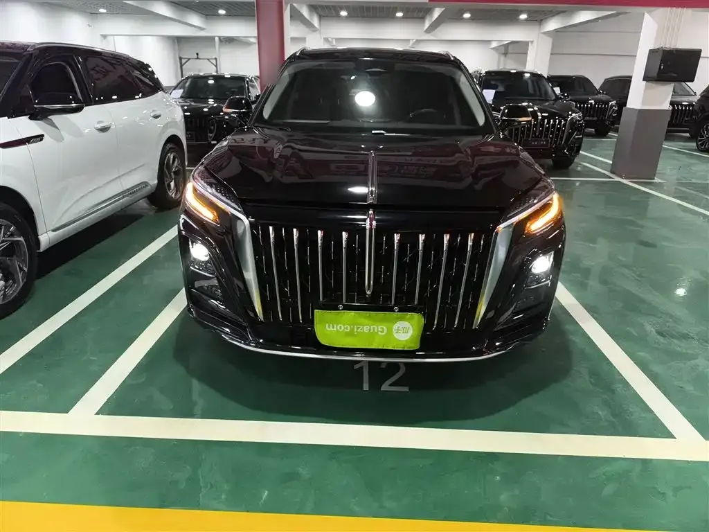 Hongqi HS3 PHEV 2025 из CN, фото 8