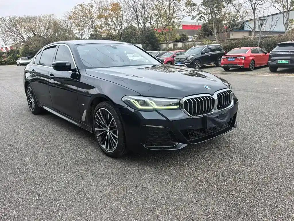 BMW 5 Series 2022 из CN, фото 5
