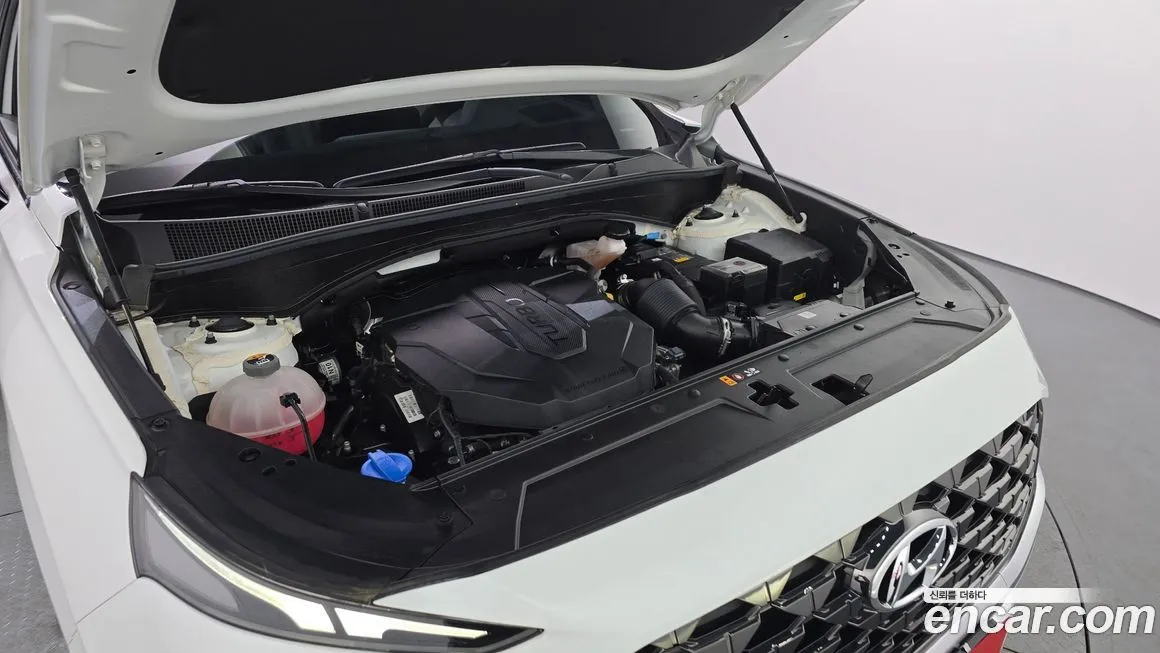 Hyundai Santafe 2021 из KR, фото 6